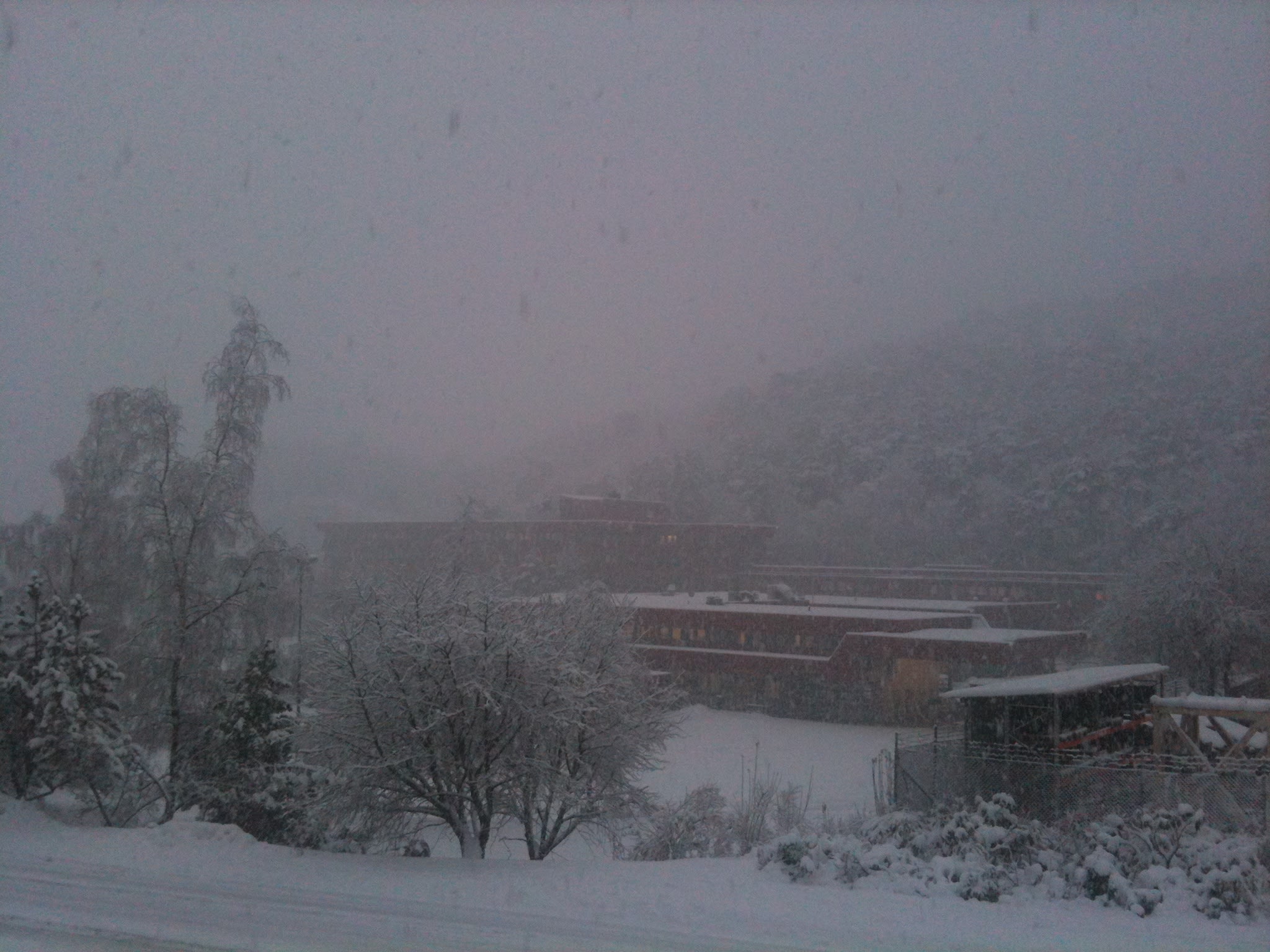 Chaos in traffic today|Kaos i trafikken i dag